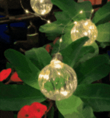 Guirnalda de Luces Micro LED de 4 Metros con 10 Burbujas: ¡Iluminación Fija y Decoración Versátil!